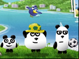 3 Pandas in Brazil